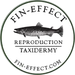 The Fin-Effect Logo